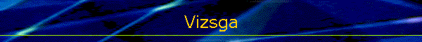 Vizsga